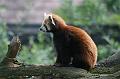 Zoo Schmiding 007